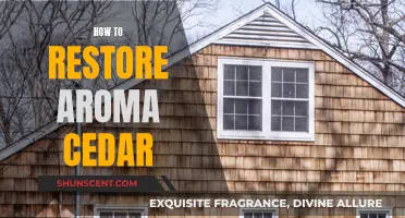 Restoring Aroma Cedar: Simple Steps to Revive the Scent