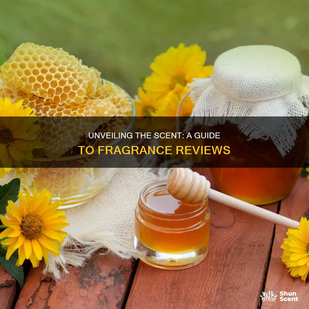 how to review a fragrance