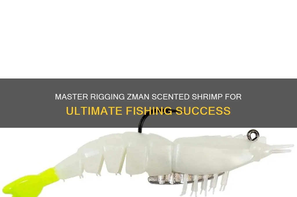 how to rig zman scented shrimp