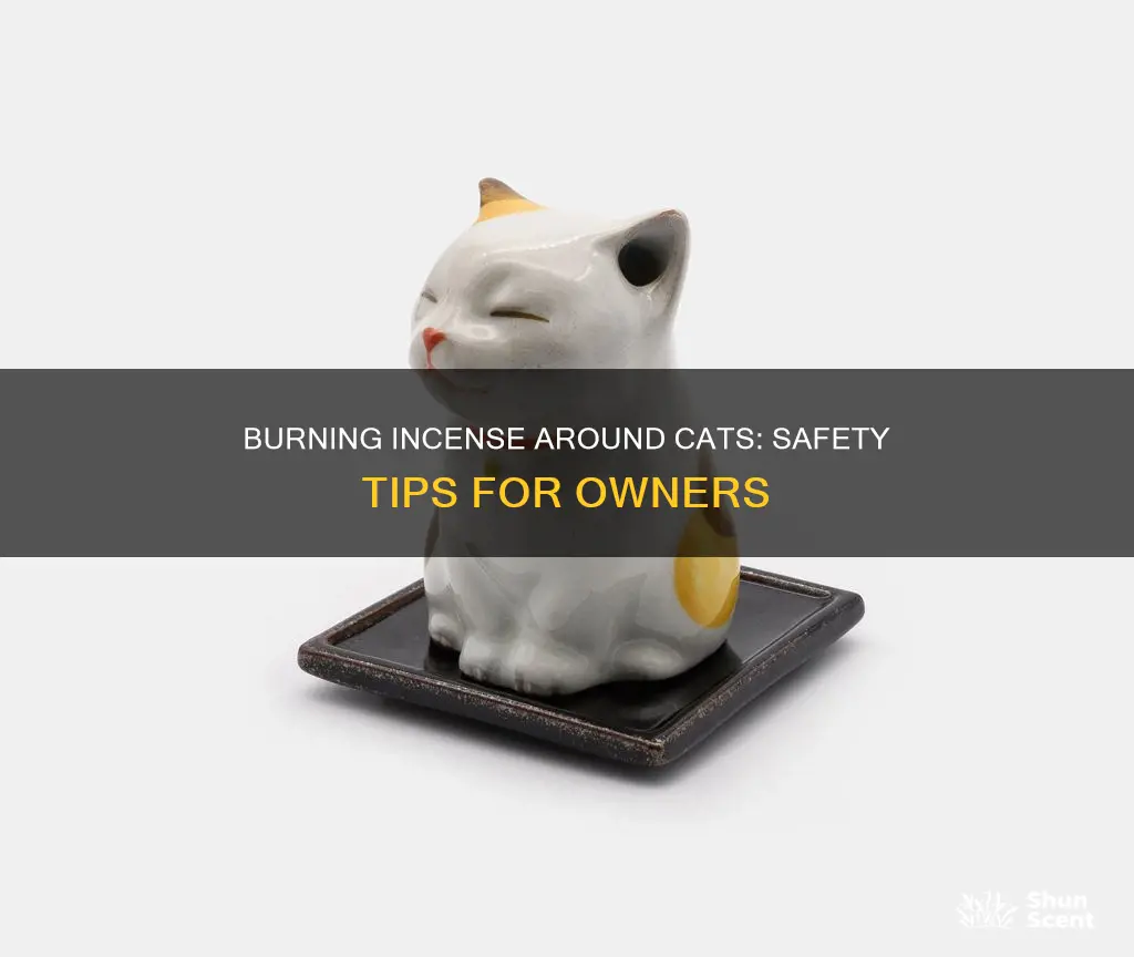 how to safely burn incense around cats
