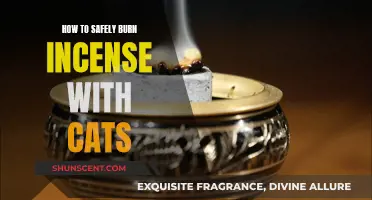 Burning Incense with Cats: Safety Tips for Owners