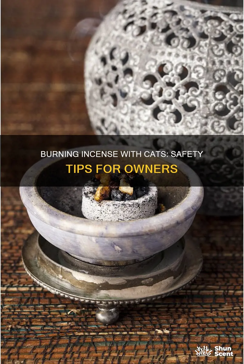 how to safely burn incense with cats