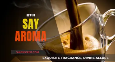 Mastering the Art of Saying 'Aroma' Accurately in Different Languages