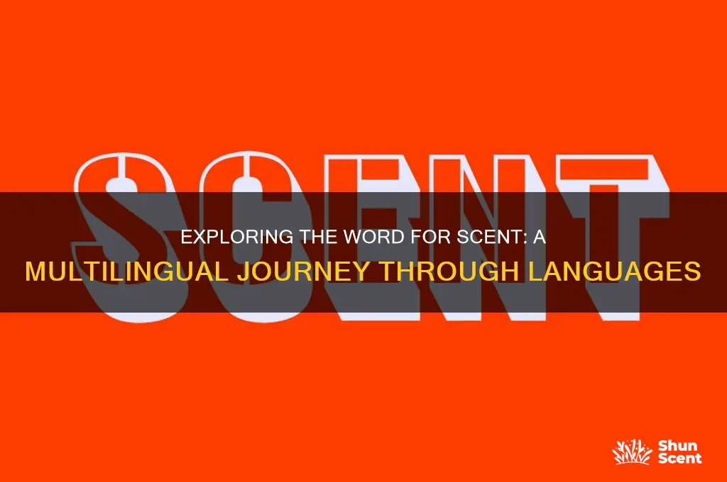 how to say scent in different languages