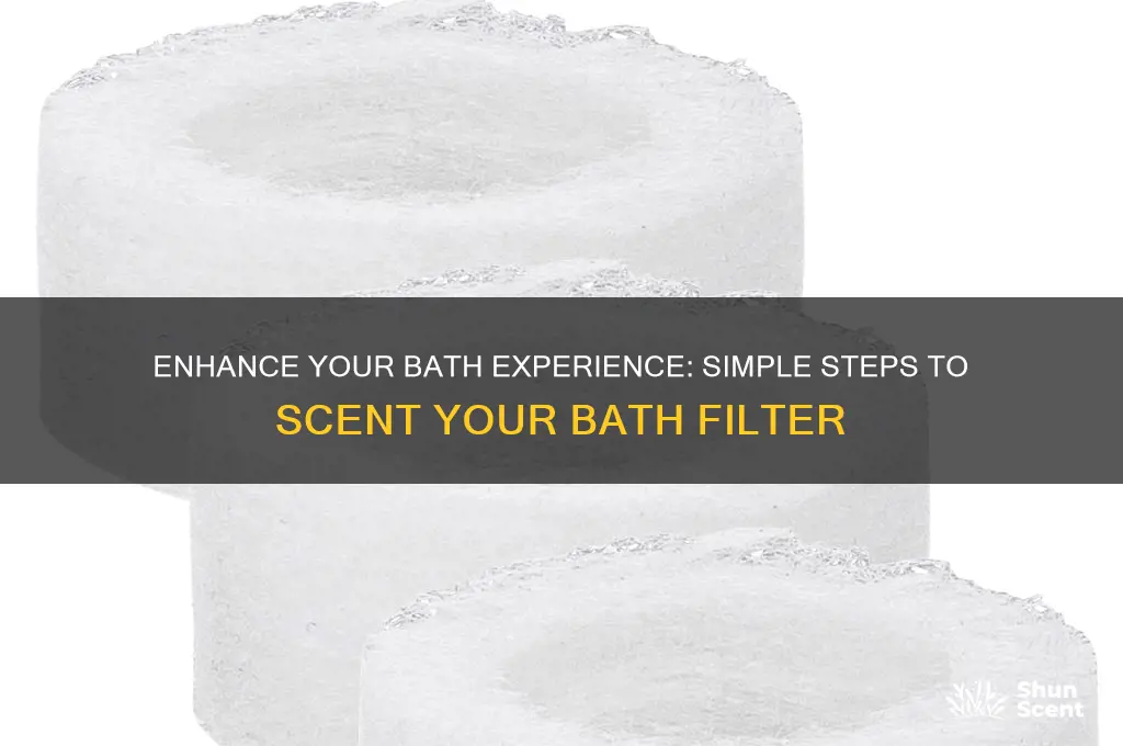 how to scent a bain filter