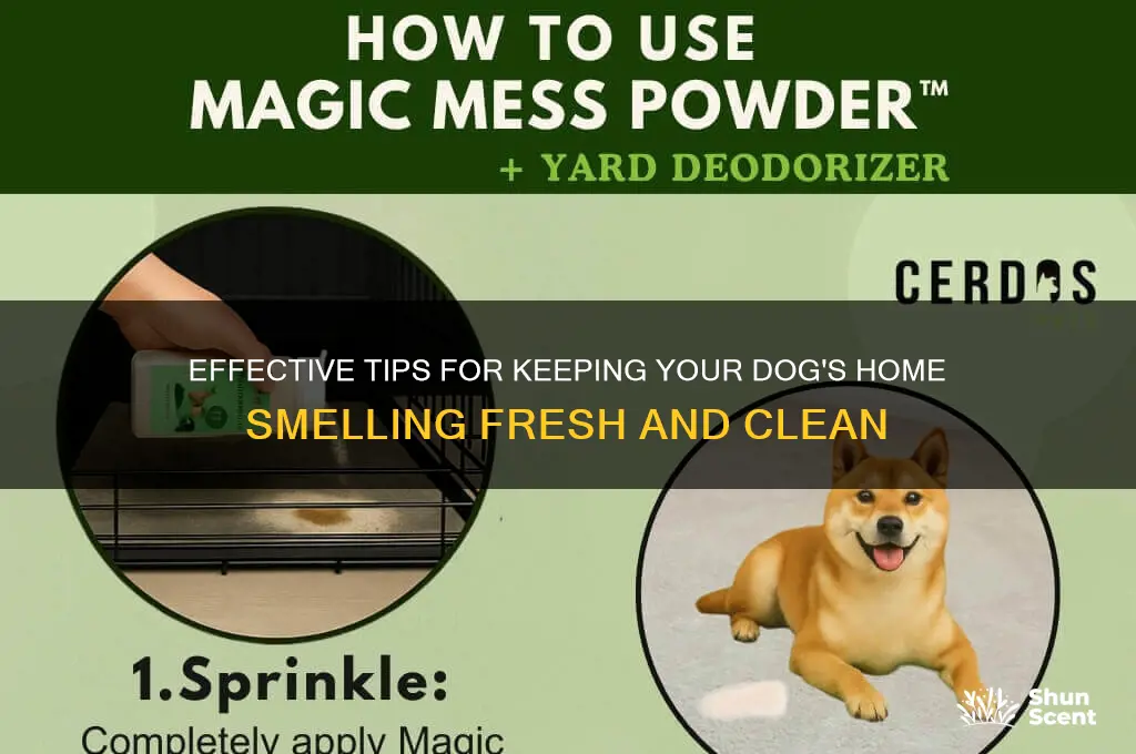 how to scent a dog home