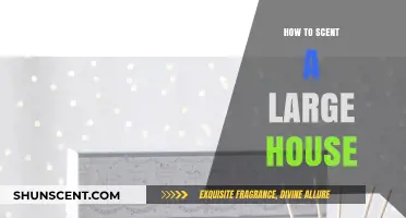 Effective Ways to Fragrance Your Large Home: Tips and Tricks