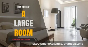 Effective Aromatic Tips for Scenting Large Spaces with Ease