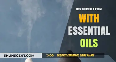 Aromatic Ambiance: Essential Oil Techniques for Scenting Your Space