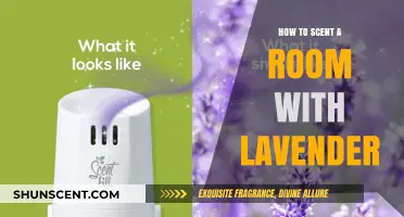 Lavender Bliss: Simple Ways to Naturally Scent Your Room