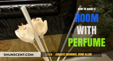 Elegant Room Fragrance: Mastering the Art of Perfuming Your Space