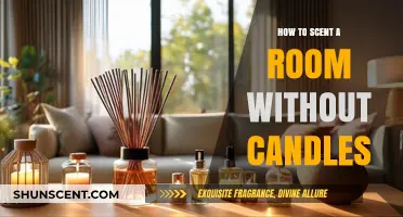 Freshen Your Space: Creative Ways to Scent a Room Without Candles