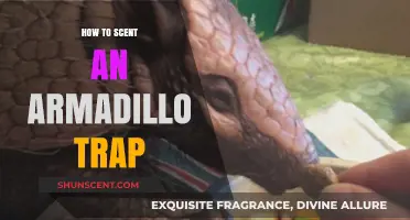 Effective Armadillo Trap Scenting: Tips for Attracting and Catching Armadillos