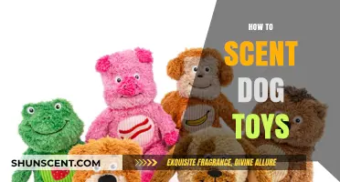 Enhance Playtime: Easy DIY Tips to Scent Your Dog’s Toys