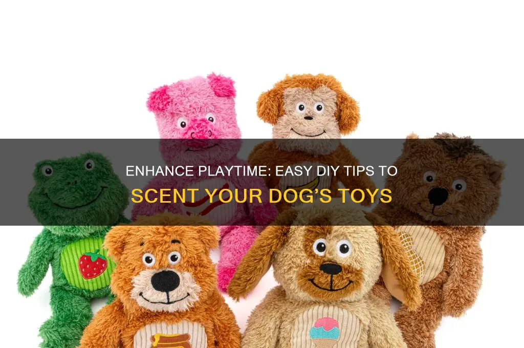 how to scent dog toys
