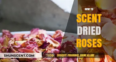 Revive Your Dried Roses: Simple Tips for Adding Lasting Fragrance