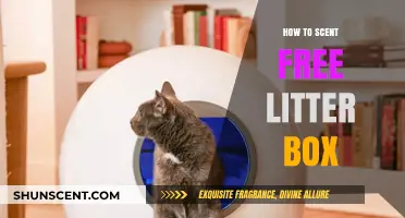 Effective Tips for a Fresh, Odor-Free Cat Litter Box