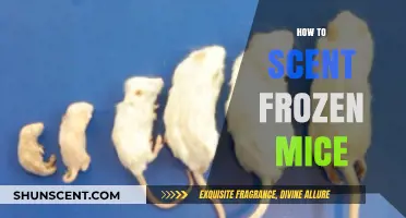 Enhancing Frozen Mice Scents: A Guide for Reptile Enthusiasts