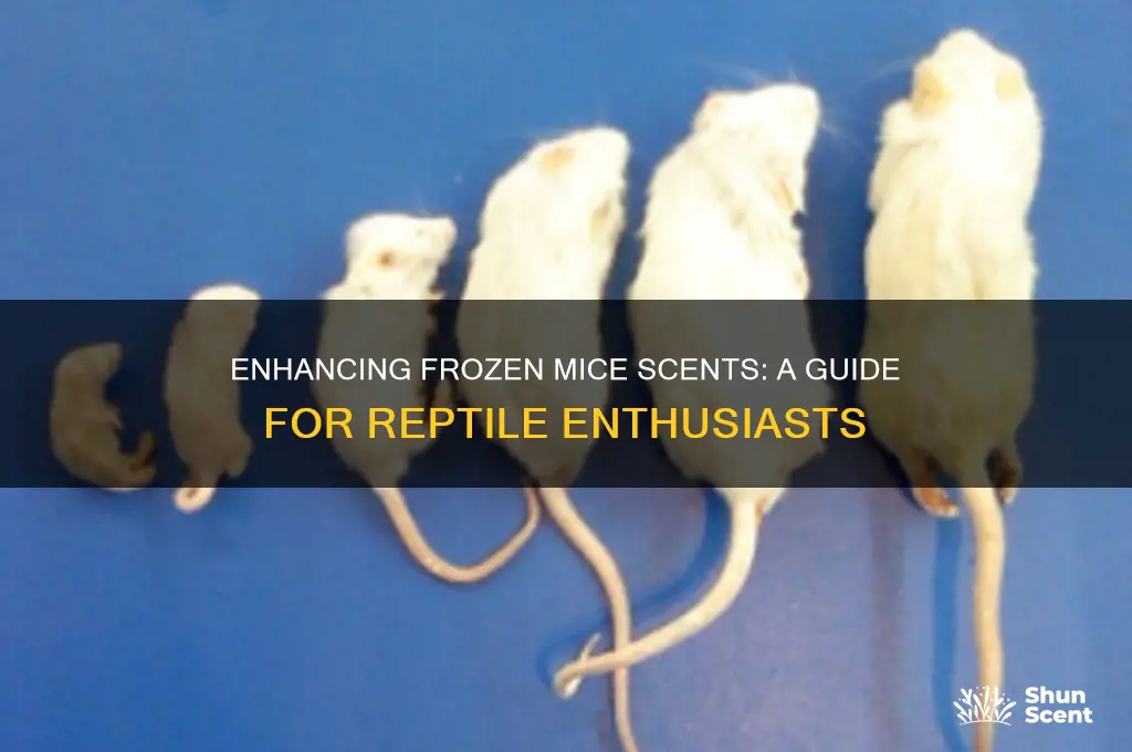 how to scent frozen mice