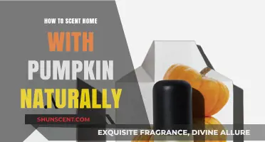 Natural Pumpkin Scents: Easy Ways to Fragrance Your Home Organically