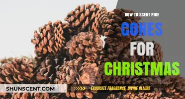 Festive Fragrance: Easy DIY Scented Pine Cones for Christmas Decor