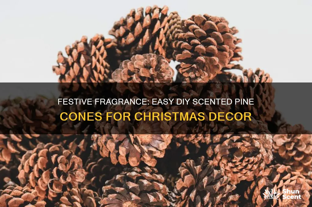 how to scent pine cones for christmas