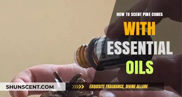 Scented Pine Cones: A Simple Guide Using Essential Oils