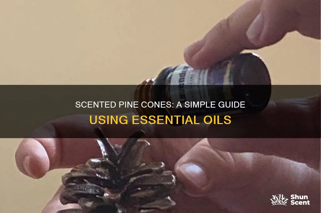 how to scent pine cones with essential oils