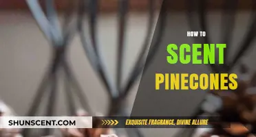 Scented Pinecones: Easy DIY Methods for Fragrant Holiday Decor