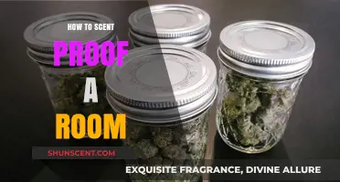 Effective Techniques to Scent Proof Any Room: A Complete Guide