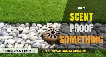 Effective Scent-Proofing Techniques to Conceal Odors and Maintain Discretion