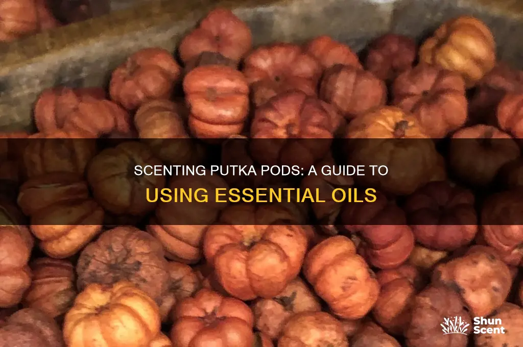how to scent putka pods with essential oils