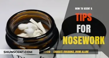 Scented Q-Tips for Nosework: Easy DIY Tips and Tricks