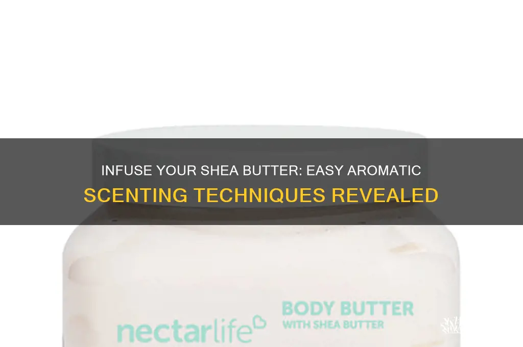 how to scent shea butter