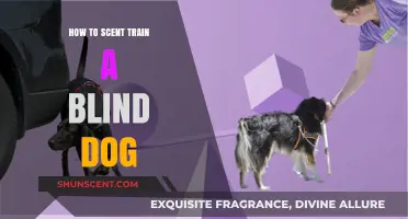 Scent Training for Blind Dogs: Enhancing Navigation and Independence