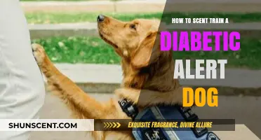 Scent Training Your Diabetic Alert Dog: A Step-by-Step Guide