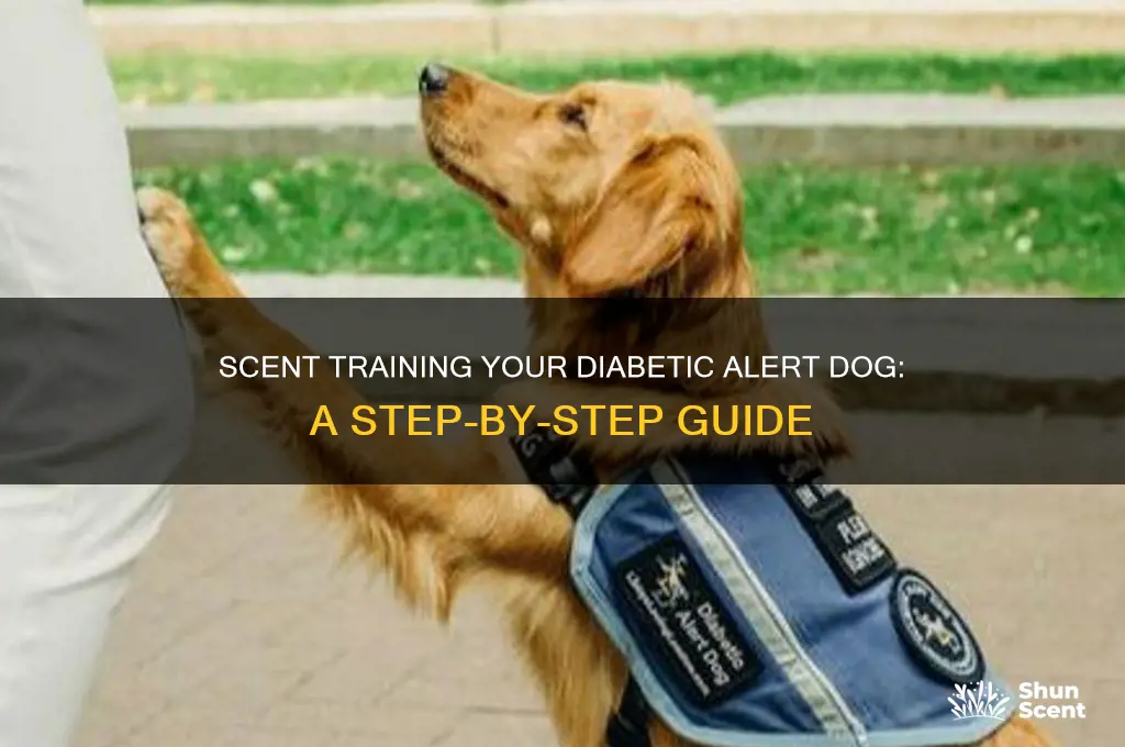 how to scent train a diabetic alert dog