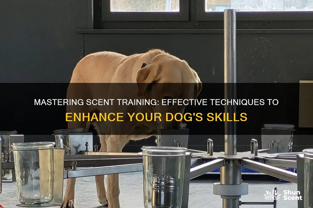 how to scent train a dog