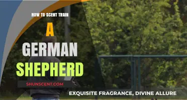 Effective Scent Training Techniques for Your German Shepherd Companion
