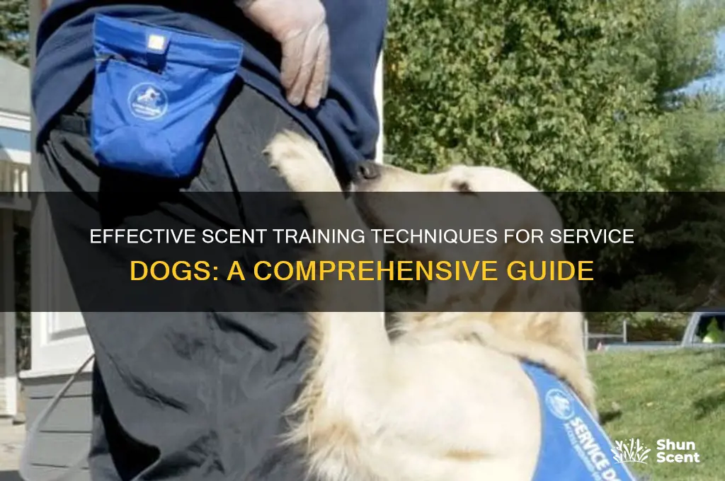 how to scent train a service dog