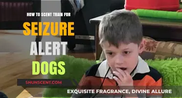 Training Seizure Alert Dogs: Mastering Scent Detection for Effective Assistance