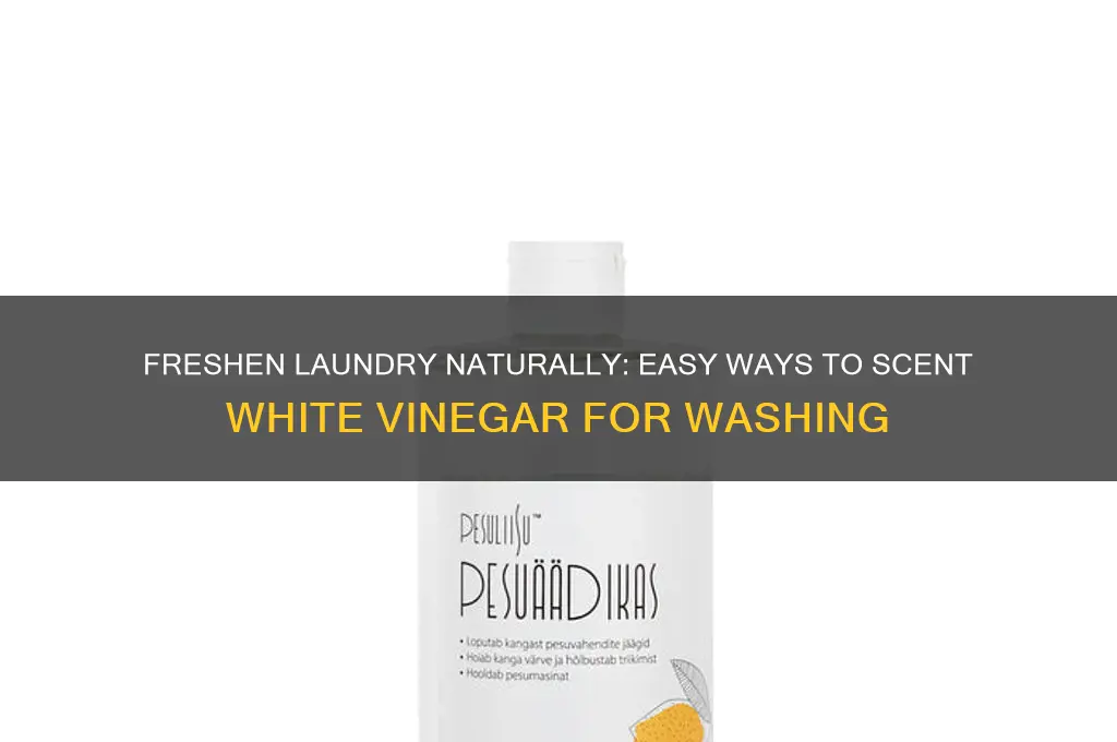 how to scent white vinegar for laundry