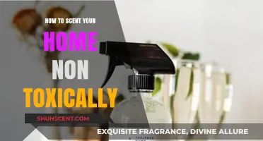 Freshen Your Home Safely: Non-Toxic Scents for a Healthy Space