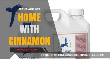 Warm Up Your Home: Cinnamon Scents for Cozy Ambiance
