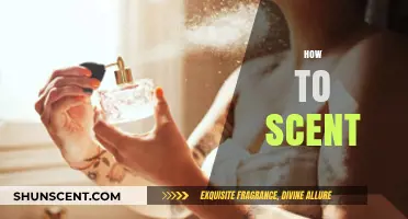 Mastering the Art of Scent: Tips for Perfect Fragrance Application