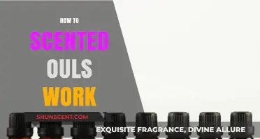 Unveiling the Science: How Scented Oils Work and Enhance Aromatherapy