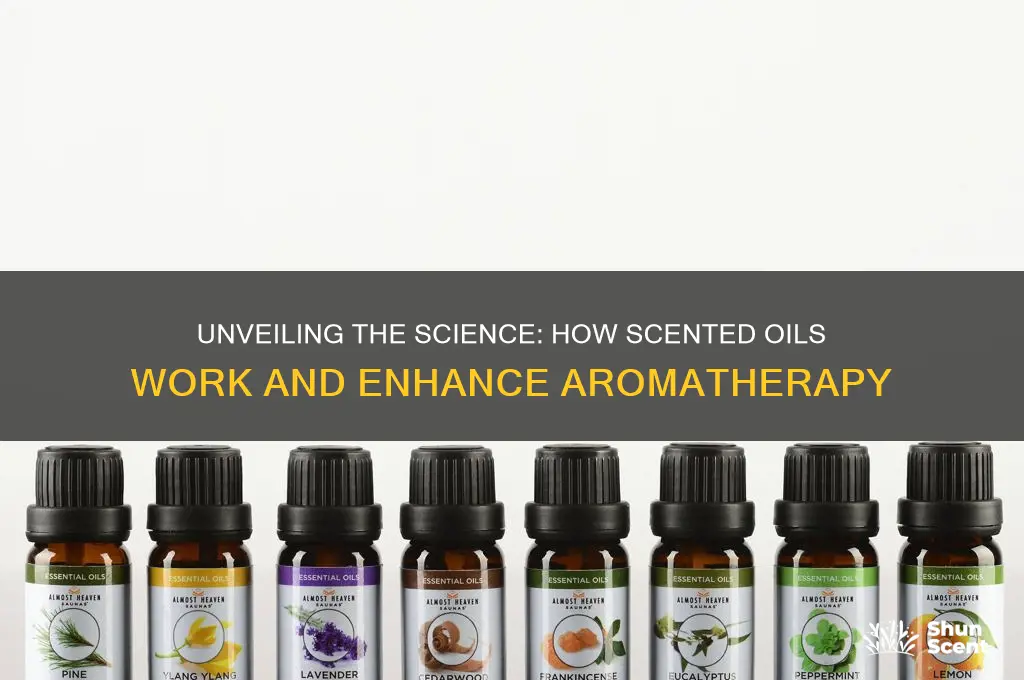how to scented ouls work