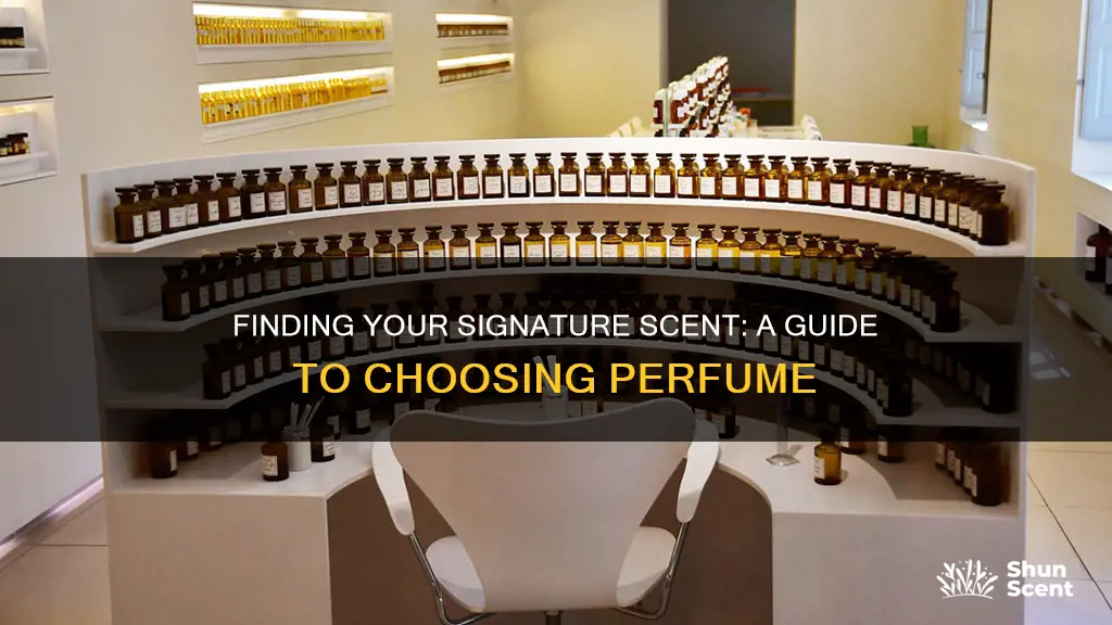 how to search for perfume