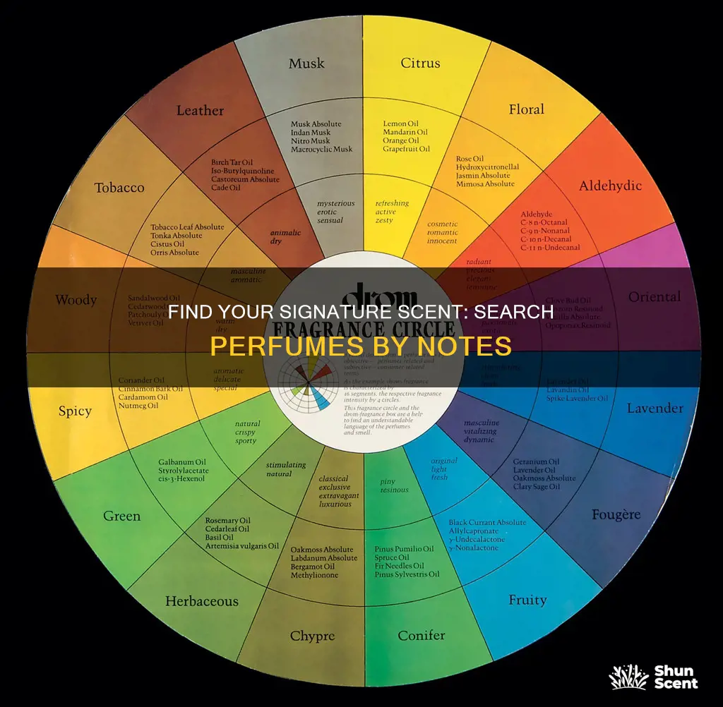 how to search perfume by notes