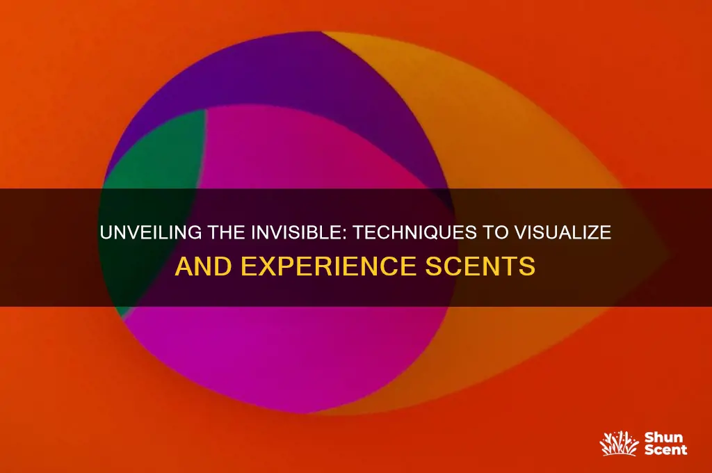 how to see scent